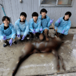 麻布学園　解体体験